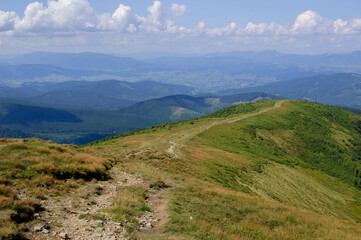 Fototapeta na wymiar The Carpathian Mountains in Ukraine. View from Mount Hoverla.