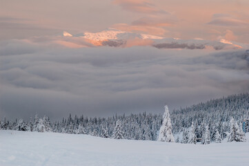 Majestic Winter Sunset: Panoramic Mountain View with Snow-Covered Woods, Clouds, and Peaks Bathed in Sunlight.