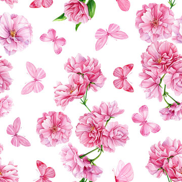 Spring sakura flowers and butterfly, floral watercolor background. Seamless pattern. Pink flower hand drawn illustration
