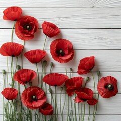 Red Poppy Flowers On White Wooden, White Background, Illustrations Images