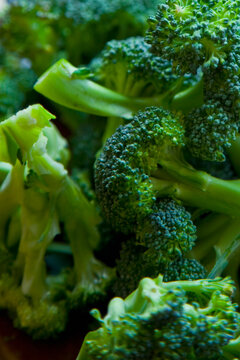 Close up of Broccoli
