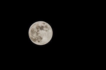 満月