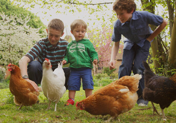 Children and Chickens in Garden
