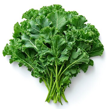 Vegan Food Background Kale Leaves, White Background, Illustrations Images