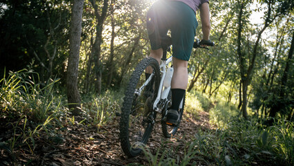 Mountain biking on spring forest trail