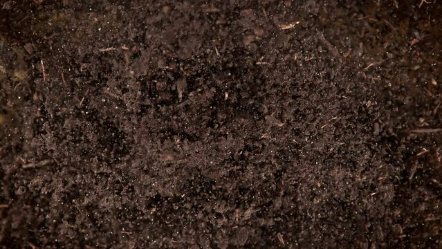Super Slow Motion Shot of Exploding Soil Towards Camera at 1000fps.