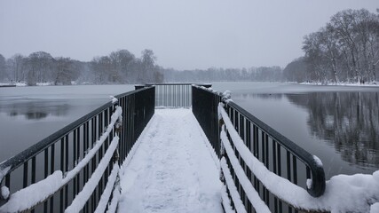 Trees, lake and pier in a winter scenery - obrazy, fototapety, plakaty