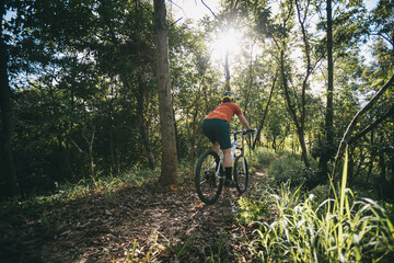 Mountain biking on spring forest trail