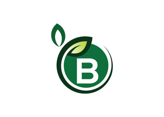 Letter B Green leaf logo design vector template. Letter B Nature Growth Leaf vector logo