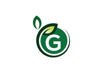 Letter G Green leaf logo design vector template. Letter G Nature Growth Leaf vector logo