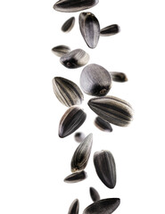 Sunflower seeds fall in space. Volumetric back light. Isolated on white.