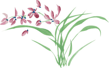 watercolor flower orchid. ink asian style painting. isolated blo