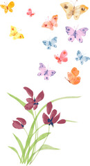 watercolor flower orchid and flying colorful butterflies. ink as - 706355359