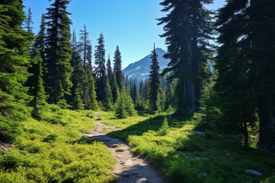 Photo of a scenic summer hiking trail in the mountains. Generative AI