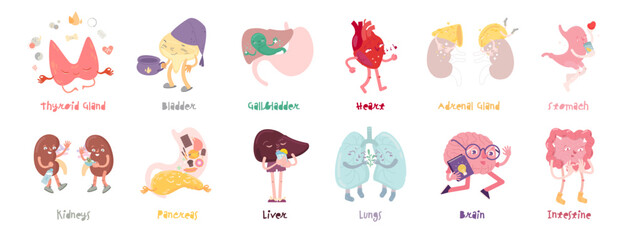 Human body organs character set in funny cartoon style.