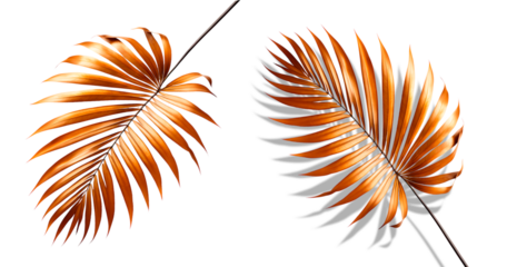 Galho de palmeira dourada curta, com e sem sombra, isolado em fundo transparente.