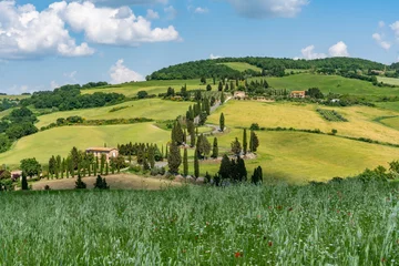 Rolgordijnen Views travelling around Tuscany, Italy © Gail Johnson