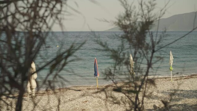 Thin wispy shrub trees blow in wind as waves gently crash on Mediterranean shoreline with beach umbrellas closed