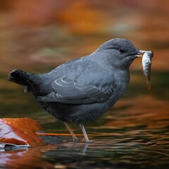 A Bird Standing In The Water With A Fish In It's Beak 