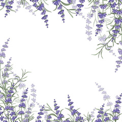 Floral purple-lavender border made of lavender flowers and leaves, for the design of postcards, invitations, banners, packaging and wallpaper. A frame for your design. Vector illustration