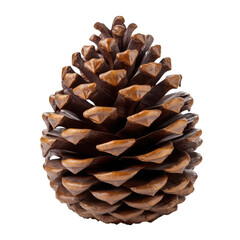 Old round brown pinecone isolated on a cut out PNG transparent background