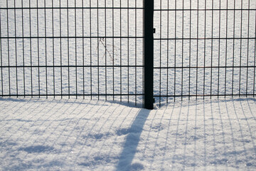 Green metal fence in winter in the snow.