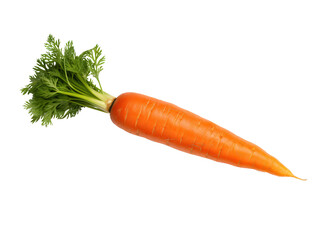 a carrot with green leaves