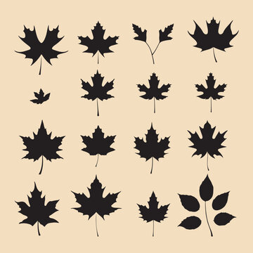 Maple set black silhouette vector Clip art