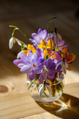 Bouquet of purple crocus in vase. Spring flowers in a vase.