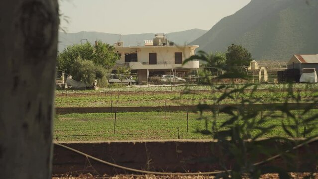 Wind blows greenery in foreground fronting mediterranean farm field in Leonidio Greece