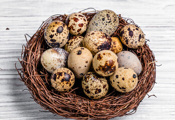 A mesmerizing sight unfolds as a vibrant community of quails finds solace in a meticulously crafted...
