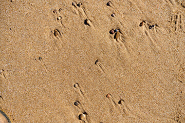 wet sand texture on the beach