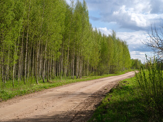 country road in summer