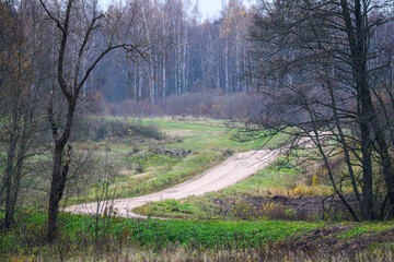 gravel countryside road in late autumn