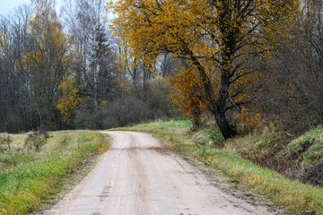 Fototapeta na wymiar gravel countryside road in late autumn