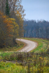 Fototapeta premium gravel countryside road in late autumn