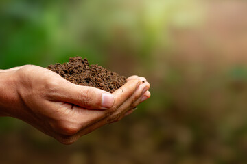 Side view of Human hands holding soil, tangan manusia lagi memegang tanah dari samping 