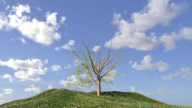 A beautiful tree grows and blossoms against a background of a bright sky, 3D render