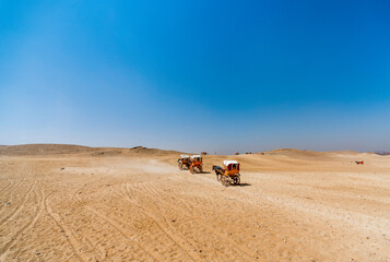 carts with tourists in the desert in egypt