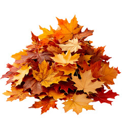 Naklejka na ściany i meble Pile of autumn leaves isolated on transparent or white background, png 