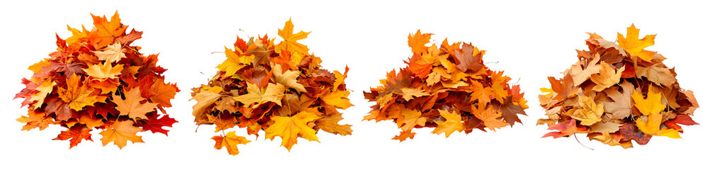 Pile of autumn leaves isolated on transparent or white background, png 