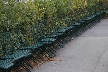 Row of chairs in a park