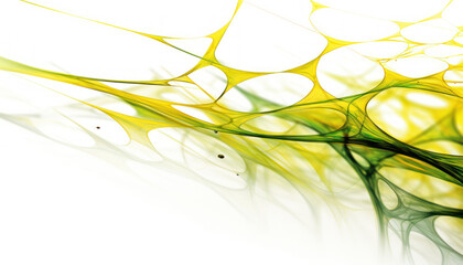 Green and yellow web texture on clear white background