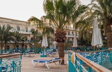 empty beach loungers under palm trees with no people