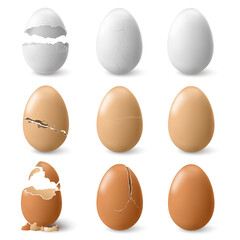 Realistic broken chicken egg, isolated cracked shell pieces of fragile product. Vector damaged or split cooking ingredient empty inside. Culinary natural open and whole hatching eggs stage - obrazy, fototapety, plakaty