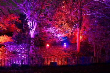 Eclairage led extérieur multi couleurs sur des arbres décoration de fête à thème 
