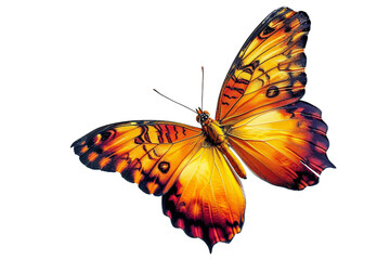 Butterfly in Flight isolated on transparent background