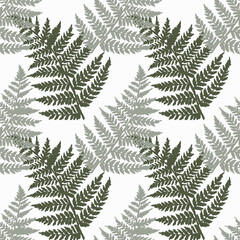 Vector pattern with fern leaves