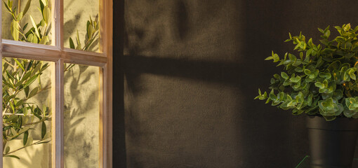 Panorama de fond d'un mur noir avec une plante d'intérieur pour création d'arrière plan. Panoramique avec jeu d'ombre et de lumière à travers une fenêtre.	 - obrazy, fototapety, plakaty