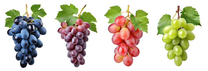 Set of grapes of different varieties on a white background - obrazy, fototapety, plakaty